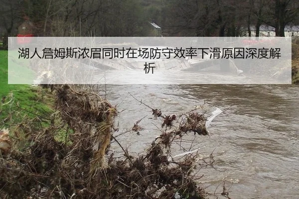 湖人詹姆斯浓眉同时在场防守效率下滑原因深度解析